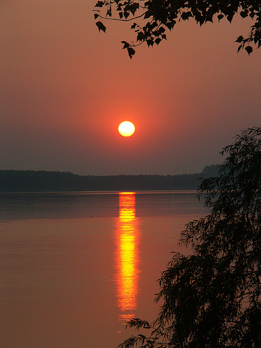 The Divine Garb "I see the crimson colours of the Divine Garb"