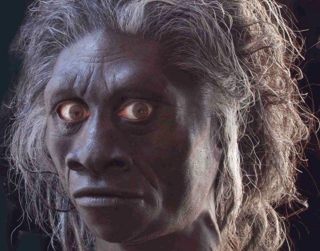 SPIRITUALITY SCIENCE - HUMAN EVOLUTION: HOMO FLORESIENSIS, ABOUT 3 FEET TALL, DISCOVERED IN LIANG BUA CAVE, ON THE ISLAND FLORES, INDONESIA. THE FLORES MAN HAS A FOSSIL RECORD THAT EXTENDS FROM 38,000 YEARS TO 12,000 YEARS AGO AND MYSTERIOUSLY DISAPPEARED.