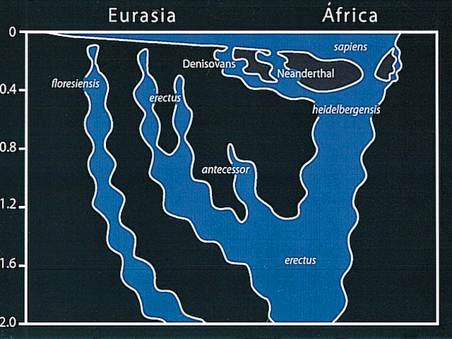 SPIRITUALITY SCIENCE - HUMAN EVOLUTION: AMONG ANTHROPOLOGISTS THERE ARE TWO VIEWS ABOUT THE EXISTENCE OF HUMAN RACES; 1.MONOGENY, AND 2. POLYGENY.