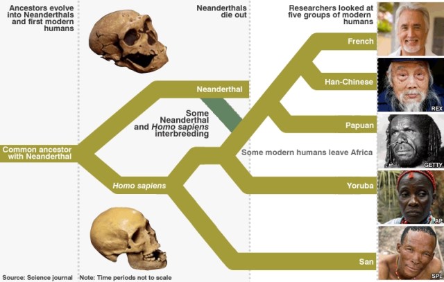 SPIRITUALITY SCIENCE - HUMAN EVOLUTION: THE PROBLEM OF HUMAN EVOLUTION HAS TO DEAL WITH TWO BASIC ISSUES; 1. THE DISCOVERY OF HUMAN ANCESTORS, AND 2. THE ORIGIN OF HUMAN RACES.