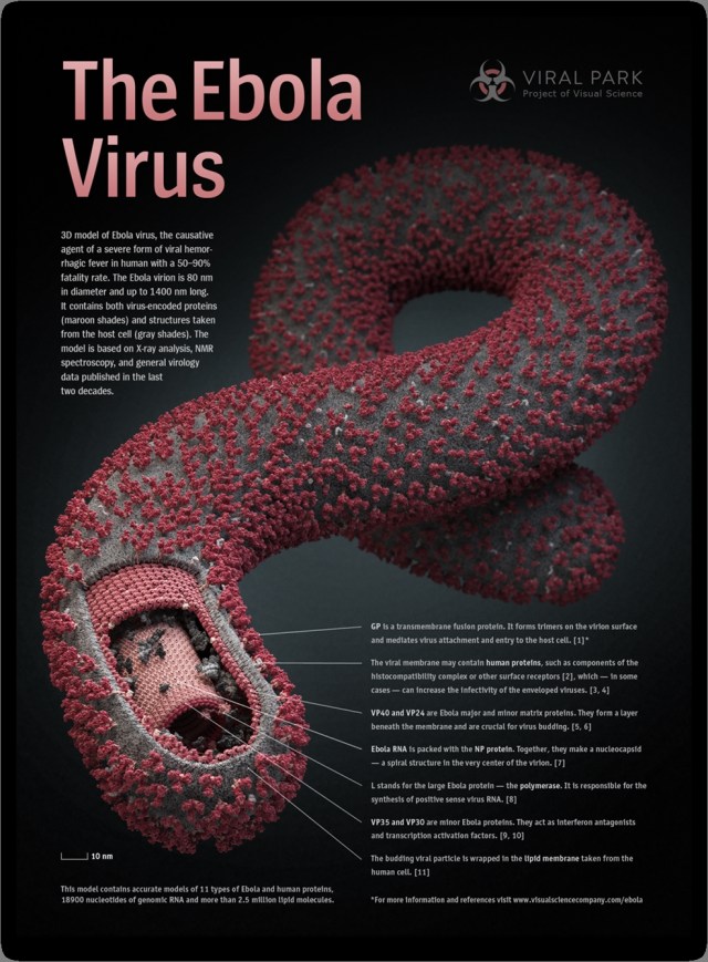 SPIRITUALITY SCIENCE - EBOLA VIRUS - BIOTIC INTERACTIONS: THE BIOTIC INTERACTIONS BETWEEN MAN AND THE EBOLA VIRUS HELPS US TO DEFINE THE TERM SPIRITUALITY AND SPIRITUAL INTERACTIONS.