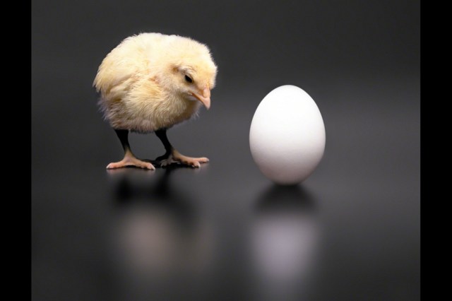 SPIRITUALITY SCIENCE - THE ART OF KNOWING : WHICH HAS COME FIRST ??? THE CHICK OR THE EGG ??? SPIRITUALITY IS NOT ABOUT KNOWING THE BEGINNING OR THE ENDING OF THINGS. IT IS ABOUT THINGS THAT EXIST IN THE PRESENT.