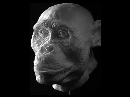 MENDEL'S LAWS OF INHERITANCE :