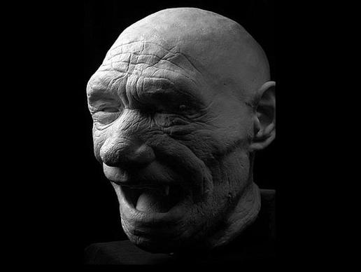 MENDEL'S LAWS OF INHERITANCE :