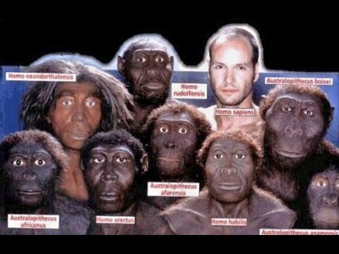 MENDEL'S LAWS OF INHERITANCE :