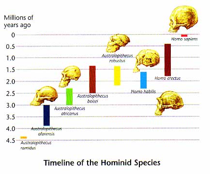 MENDEL'S LAWS OF INHERITANCE :