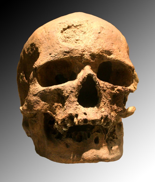 MENDEL'S LAWS OF INHERITANCE VS HUMAN EVOLUTION : CRO-MAGNON SKULL .