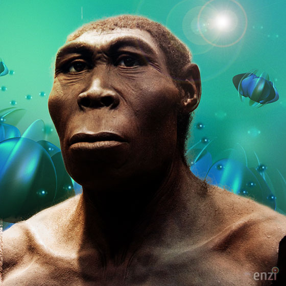 MENDEL'S LAWS OF INHERITANCE VS HUMAN EVOLUTION : HOMO ERGASTER IS RELATED TO HOMO ERECTUS SPECIES THAT LIVED IN EASTERN AND SOUTHERN AFRICA FROM ABOUT 1.89 MILLION YEARS AGO .