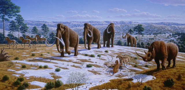 MENDEL'S LAWS OF INHERITANCE VS HUMAN EVOLUTION : DARWINISM CANNOT EXPLAIN EITHER THE EMERGENCE OF NEW SPECIES OR EXTINCTION OF OLD SPECIES. NATURAL FACTORS, NATURAL CONDITIONS, NATURAL MECHANISMS , AND NATURAL CAUSES CANNOT FULLY ACCOUNT FOR EXTINCTION OF THE LARGE-BODIED ICE AGE MAMMALS SUCH AS WOOLLY RHINOCEROS, WOOLY MAMMOTHS, MASTODONS, AND SABERTOOTH CARNIVORES .