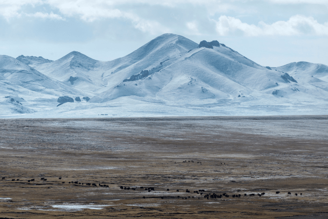 TIBET CONSCIOUSNESS - GLOBAL WARMING - CLIMATE ACTION. TIBETAN NOMADS LIVE IN PERFECT HARMONY WITH NATURE LIVING ON LIVESTOCK-REARING. INDUSTRIAL POLLUTION IS THE CHIEF CULPRIT OF GLOBAL WARMING.